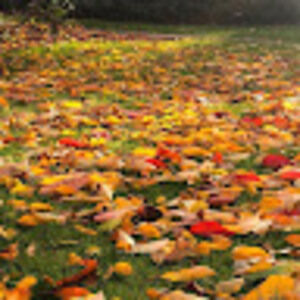 Meet your Posher, Sadaf